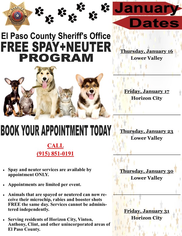 cheap spay and neutering