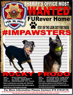 MOST WANTED FURever home 1.png