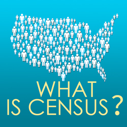 What is Census?