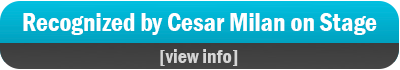 Cesar Milan Recognition