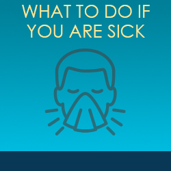 What to do if you are sick?