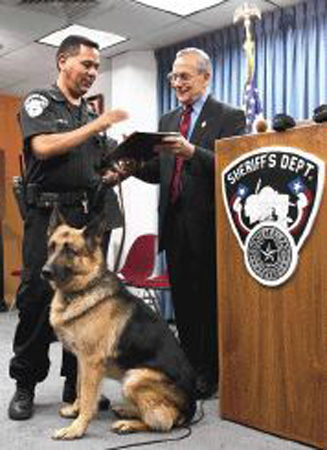 drug dog nc